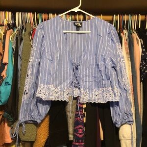 Elegant Blue Striped Blouse with Floral Embroidery